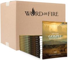 Advent Gospel Reflections 2025 - Box of 20